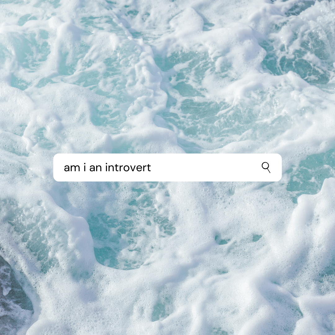 Introvert Search